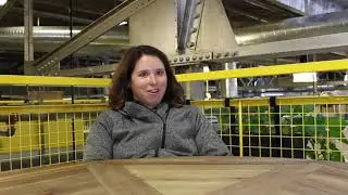 Denver Digital Marketing