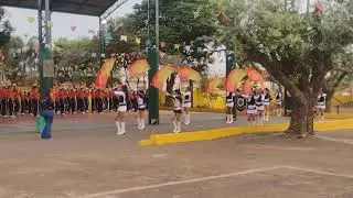 bmmp