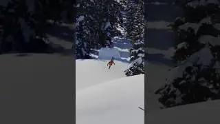 What trick are you sending here?👀IG: Colby_stevenson #skatepro #skiing #shorts #shortsvideo