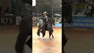 Соревнование Smooth Horse, о котором вы не знали (@mundoequinocolombiano)