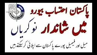 NATIONAL ACCOUNTABILITY BUREAU NEW JOBS | NAB NEW JOBS | NEW JOBS IN NAB 2019