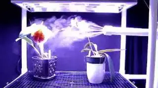 Portagrow humidity distribution system for orchid care