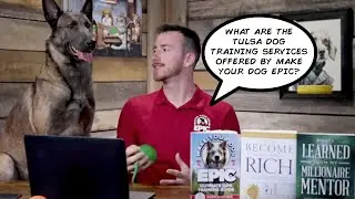 Tulsa Dog Trainer | What Are the Tulsa Dog Training Services Offered By Make Your Dog Epic?