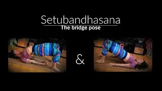 A backbend that also beginners can do - Bridge pose explained +modifications-Natural Yoga With Alis