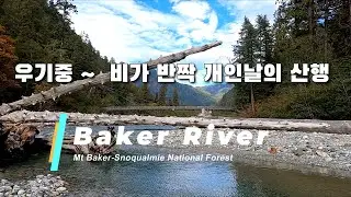 baker river trail / baker-snoqualmie  national forest /베이커 강 트레일