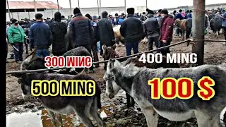 Samarqand Past'Darg'om Juma MOL Bozori Narxlari 14 11 2020