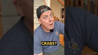 Maryland Eats: Crabs, Scrapple, and Home Hunting