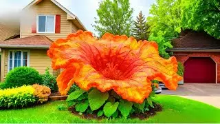 7 das FLORES mais RARAS e mais BONITAS do Mundo