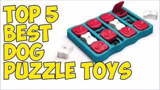Top 5 Best Dog Puzzle Toys in 2020 👍