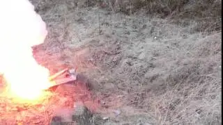 Saluttkanon