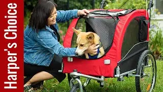 Best Bike Trailers for Dogs in 2025 - Top 5