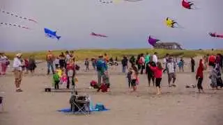 Long Beach Kite Festival 2014