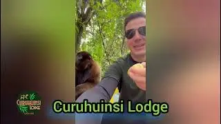 Iquitos Amazon Jungle Tours Led by Gerson Pizango, the Best Local Guide in Iquitos, Peru.