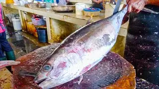 TUNA FISH CUTTING SKILLS 2023 || DARNE TYPE FISH CUTTING