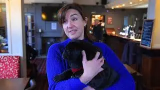 Pug group raises funds for welfare charity with calendar