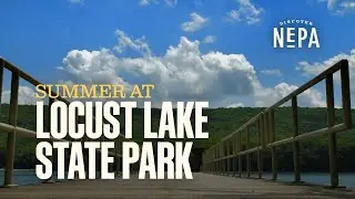 Summer at Locust Lake State Park | Barnesville, PA