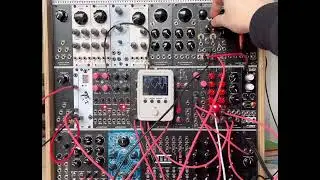 Setonixsynth Marsupial VCF as complex oscillator