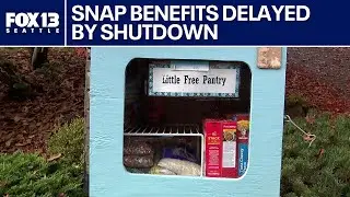 SNAP benefits delayed by shutdown as neighbors help bridge the gap | FOX 13 Seattle