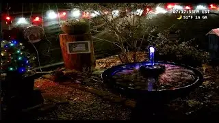 Live - Friday Reality TV | 🐦 Birds, Chipmunks and Night Creatures in the Back Yard Garden | CatTv