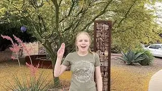 Arizona Girl Scouts Virtual Promise & Law