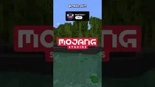 Minecraft's NEWEST Gamebreaking Item...