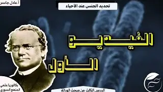 شرح الدرس الثالث وراثة_تحديد الجنس لدى الأحياء_مقدمة +الوراثة المرتبطة بالجنس_أ.عادل جاسر