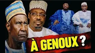 ETOUDI : Bello Bouba &agrave; genoux ? De l&rsquo;opposition &agrave; la table du pouvoir 