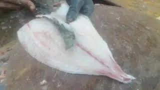 #birds lover #fish #cuttingskills #like #share #viwes #subscribe #viral 