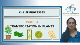 Class 10 Science Life Processes: Want to Understand Transportation in Plants? Watch This Now