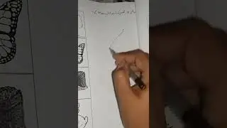 Urdu Column match activity