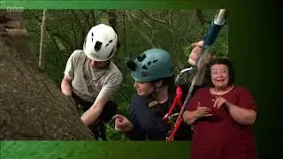 Megan climbs a tree with ecologist Jim Mullholland to find bat roosts | Springwatch 2023 (signed)