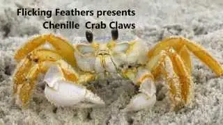 chenille crab claws