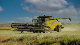 Rice vs Wheat vs Millets - Which is Healthier?