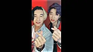 Tổng Hợp Video Của Homa Và RaiDes | Yến Nguyễn
