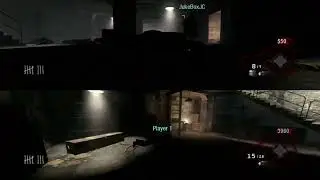 BO1 Zombies funny dolphin dive glitch