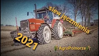 siew jęczmienia 2021💪🏼 👉🏼Massey ferguson 3690👈🏼 💪🏼🚜😉❤️