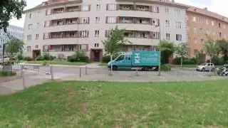 Eine typische Taube in Berlin #DeutschF&uuml;rAnf&auml;nger #learnGerman