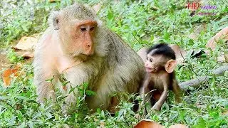 O..M..G ! Baby Button very scare her mom Butter, What real reason baby Button so scare mom like this