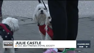Tips on keeping your pets warm this winter