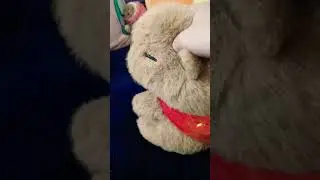 divertido capibaras