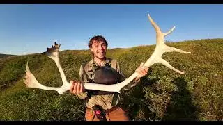 Caribou on the Thelon, Hommes Du Nord 2024