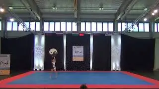 WDA 2019 / WORLD DANCE ASSOCIATION / Acrobatic Show Solo Adult / Stef&aacute;n Bernadett