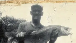 Wild Side-Mabry Harper's World Record