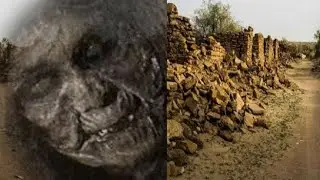 अजब गजब गाव। Interesting Village। Toofani Fact #facts