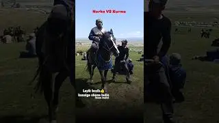 Mashxur #Norka polvon #Xurmoda ✊ #kupkari #horse #shortis