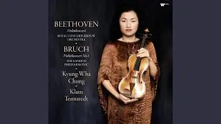 Violin Concerto in D Major, Op. 61: I. Allegro ma non troppo