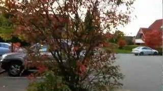 Adly Hurricane 500 S Stunt quadstunt