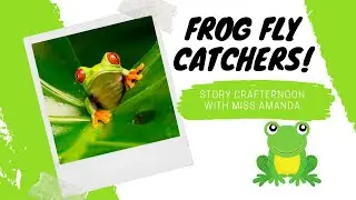 Frog Fly Catchers