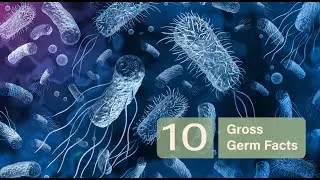 10 Gross Germ Facts
