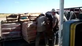 Cement man